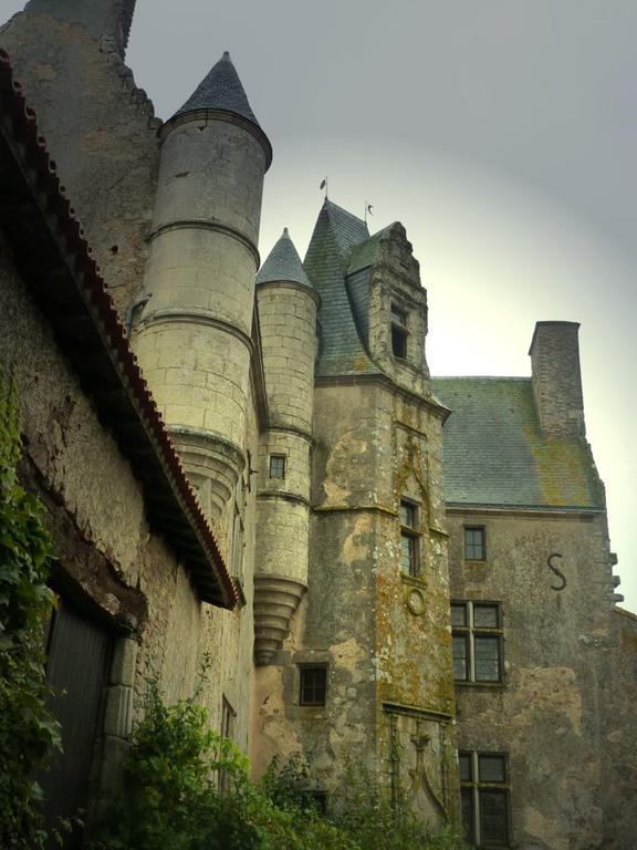 Chateau De Vermette Hotell La Chapelle-Gaudin Rom bilde