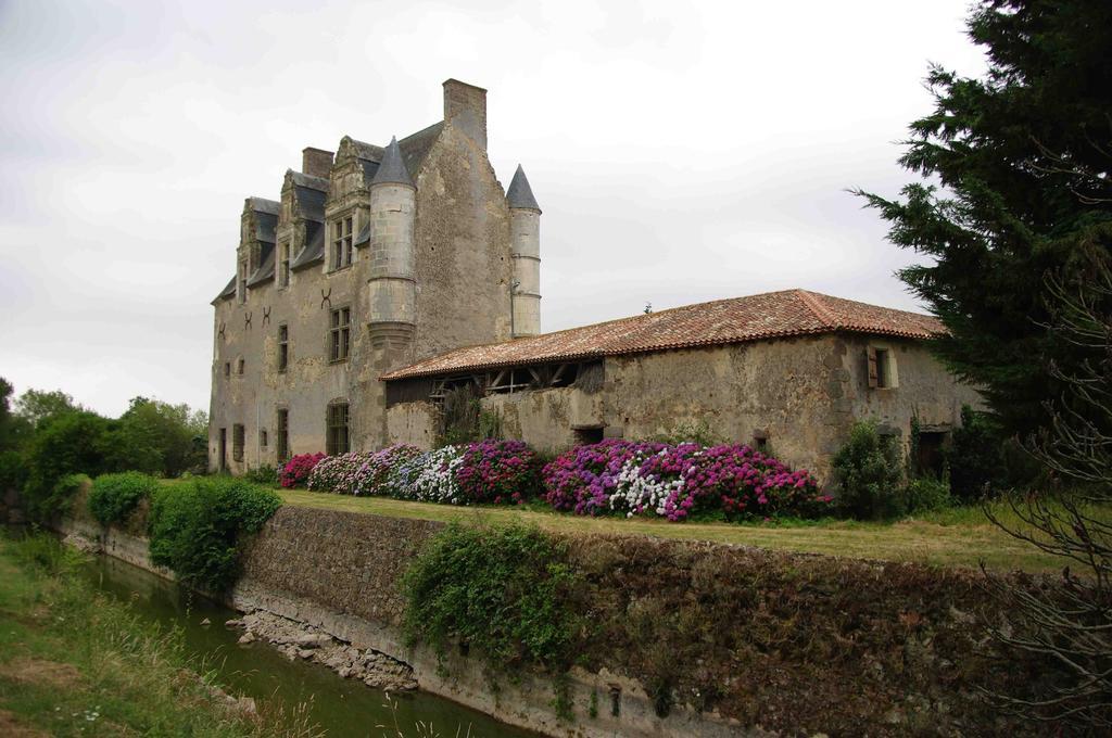 Chateau De Vermette Hotell La Chapelle-Gaudin Eksteriør bilde